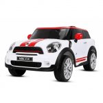 mini-paceman-2×35-2x-6v-12v